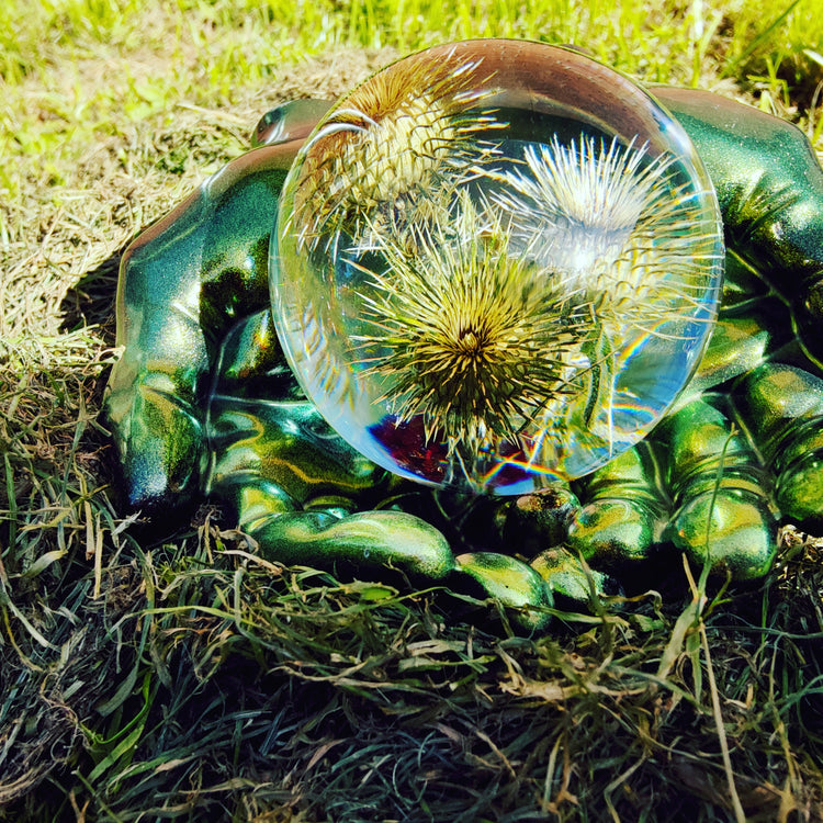 Tidsel i kugle nummer 3