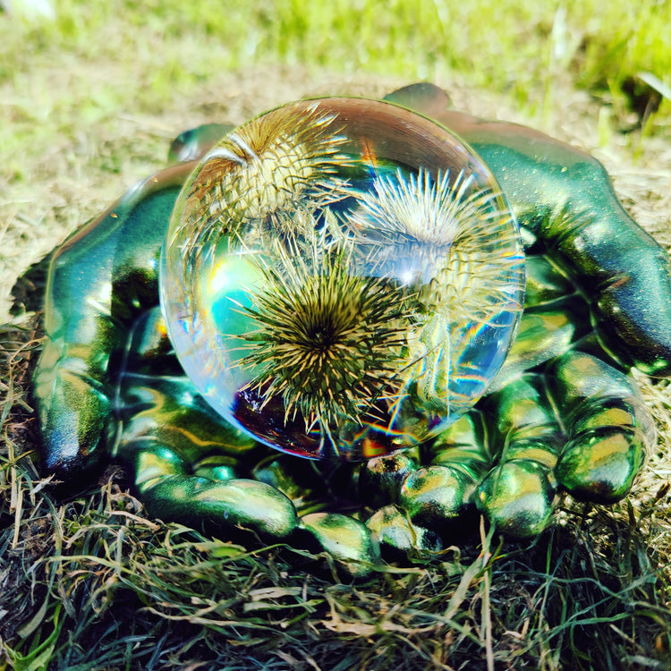 Tidsel i kugle nummer 3