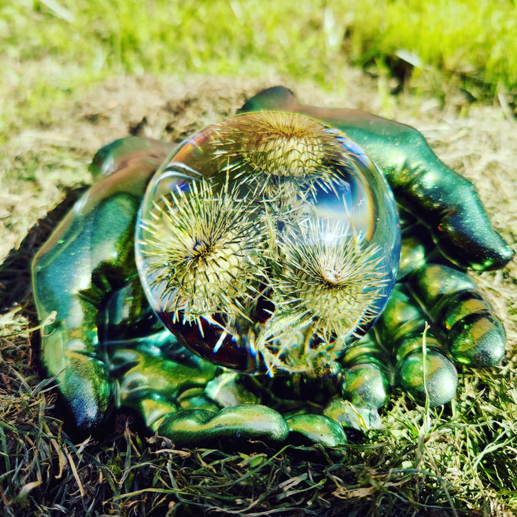 Tidsel i kugle nummer 3