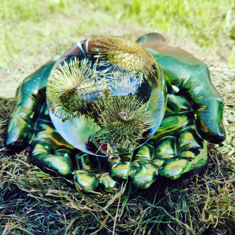 Tidsel i kugle nummer 3