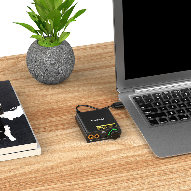 Lavaudio DS400 (1Mii)