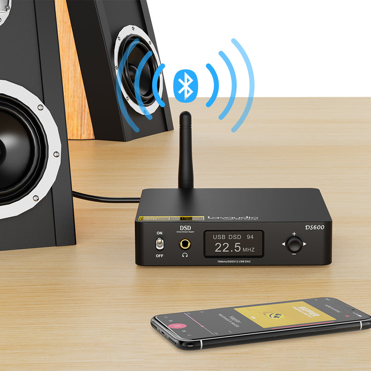 Lavaudio DS600 (1Mii)