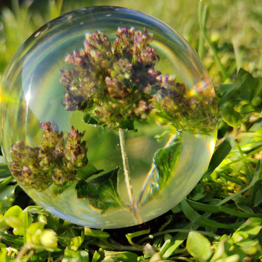 Kugle med sommerfugleblomst